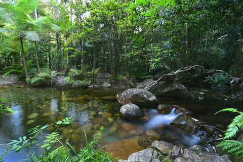 Daintree Cascades - Accommodation Cairns 5