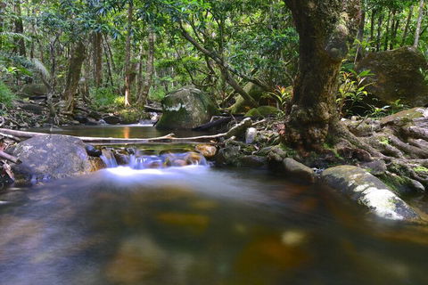 Daintree Cascades - Accommodation Cairns 6