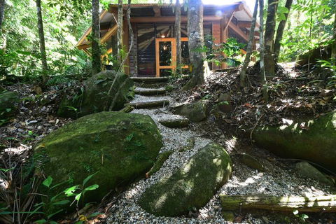 Daintree Cascades - Accommodation Cairns 7