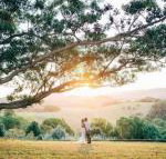 Cedia at Byron Bay Hinterland - Accommodation Cairns