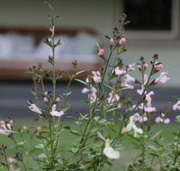 Serendipity on Allyn - Accommodation Cairns