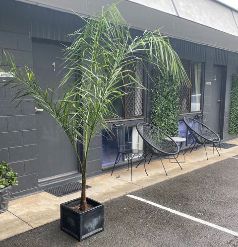 Buderim Fiesta Motel - Accommodation Cairns 1