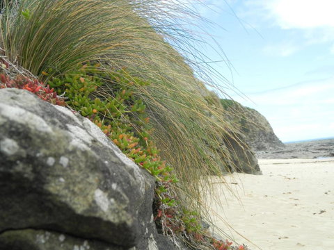 Cape 28 - Accommodation Cairns 5