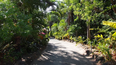 Palm Bay Resort - Accommodation Cairns 3