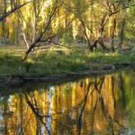On The Banks - Accommodation Cairns 0