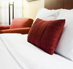 Mt Coolum Retreat a Bed  Breakfast - Accommodation Cairns