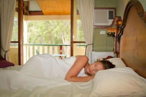 Bimbadeen Mountain Retreat - Accommodation Cairns 6