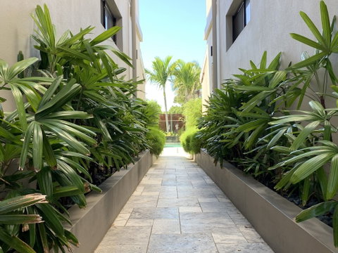 Aabi's At Byron - Accommodation Cairns 0