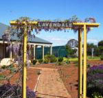 Lavendale Farmstay  Cottages York - Accommodation Cairns