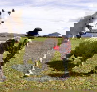 Taras Richmond Farmstay - Accommodation Cairns