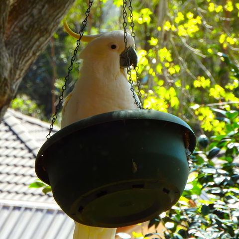 Bowral Road Bed And Breakfast - Accommodation Cairns 1