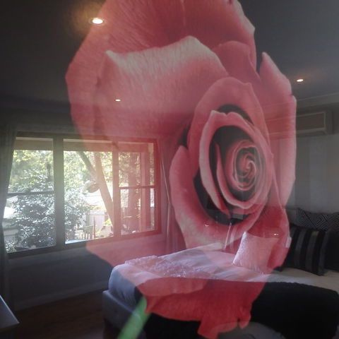 Bowral Road Bed And Breakfast - Accommodation Cairns 5