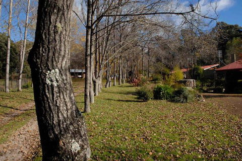 Birdwing Bed & Breakfast Weegena - Accommodation Cairns 2