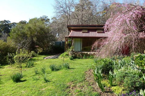 Birdwing Bed & Breakfast Weegena - Accommodation Cairns 5