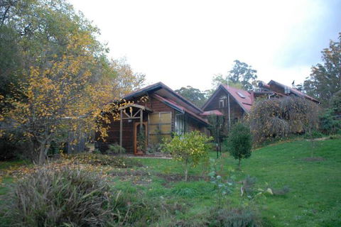 Birdwing Bed & Breakfast Weegena - Accommodation Cairns 3