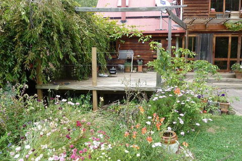 Birdwing Bed & Breakfast Weegena - Accommodation Cairns 6