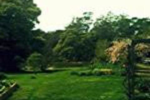 Birdwing Bed & Breakfast Weegena - Accommodation Cairns 0