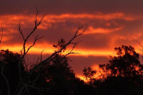 Launceston Bed & Breakfast Retreat - Accommodation Cairns 7