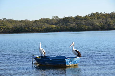 Bayz On The River - Accommodation Cairns 1