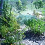  Accommodation Cairns
