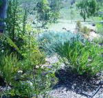 Old Miners Cottages Bed  Breakfast - Accommodation Cairns