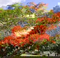 Eastwood Farm - Accommodation Cairns