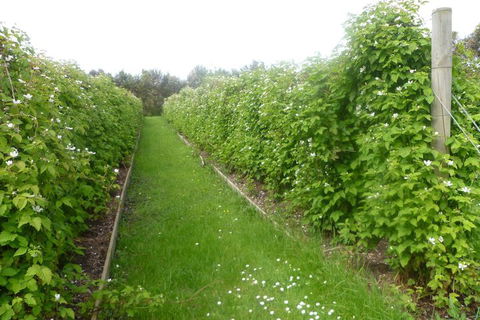 Karingal Homestead B & B - Accommodation Cairns 4