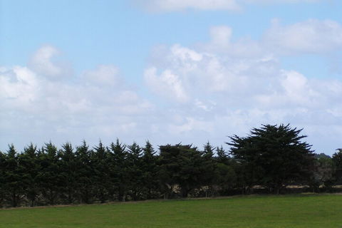 Karingal Homestead B & B - Accommodation Cairns 5