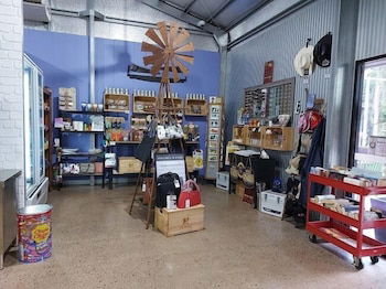 Litchfield Tourist Park - Campground - Accommodation Cairns 2