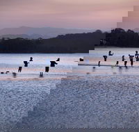 Tallebudgera Creek Tourist Park - Accommodation Cairns