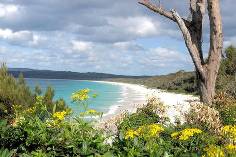 Walters Holiday Flats - Accommodation Cairns 4