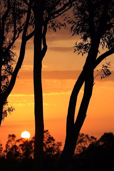 Bella Wind Bed & Breakfast - Accommodation Cairns 3