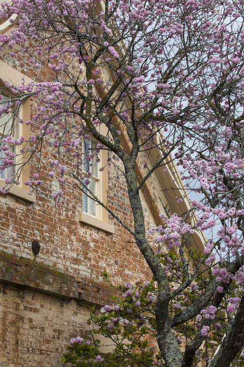 The Racecourse Inn - Accommodation Cairns 0