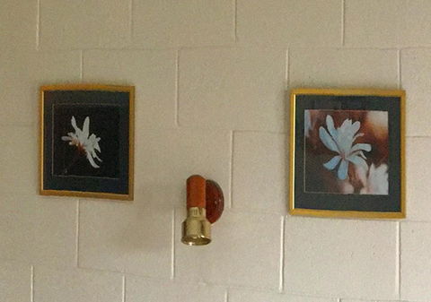 Milawa Motel - Accommodation Cairns 2