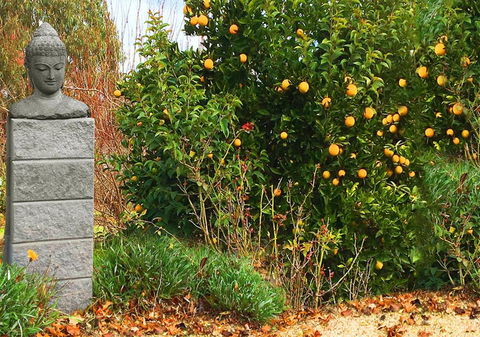 Milawa Motel - Accommodation Cairns 5