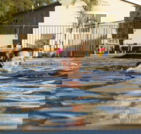 Riverside Cabin Park - Accommodation Cairns