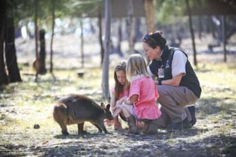 Billabong Camp Taronga Western Plains Zoo - Accommodation Cairns 6