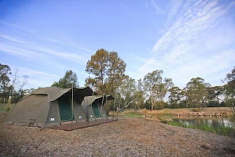 Billabong Camp Taronga Western Plains Zoo - Accommodation Cairns 4