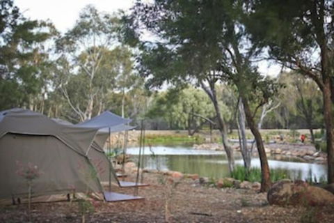 Billabong Camp Taronga Western Plains Zoo - Accommodation Cairns 2