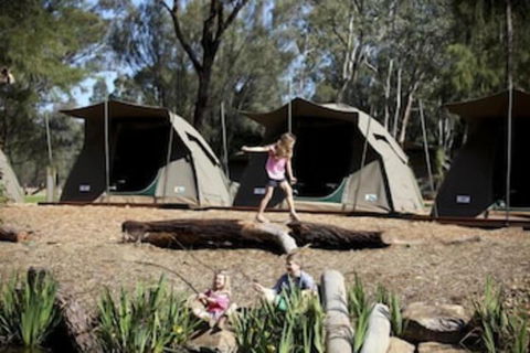 Billabong Camp Taronga Western Plains Zoo - Accommodation Cairns 7