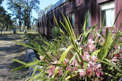 Krinklewood Cottage & Train Carriages - Accommodation Cairns 2