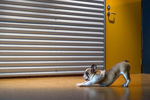 The Dome House - Accommodation Cairns 7