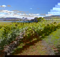 Riversdale Estate Cottages - Accommodation Cairns