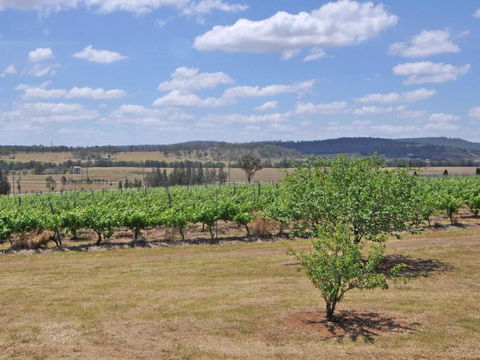Beggars Bridge Vineyard Homestead W / Pool + Wifi + Tennis + Vineyard - Accommodation Cairns 2