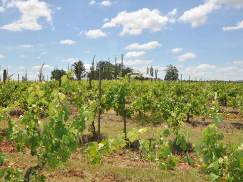 Beggars Bridge Vineyard Homestead W / Pool + Wifi + Tennis + Vineyard - Accommodation Cairns 1