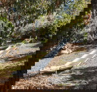 Monigatti - Accommodation Cairns