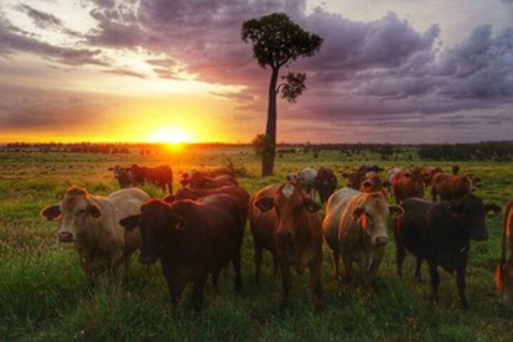Kokotungo QLD Accommodation Cairns