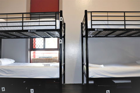 The Jack Backpackers - Accommodation Cairns 5