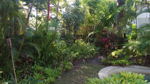 Bel Air Motel - Accommodation Cairns 6