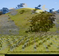 Blue House at Mountainside Wines - Accommodation Cairns